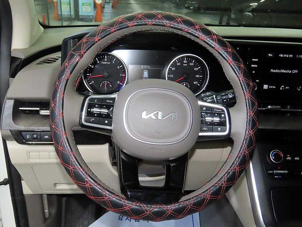 KIA Carnival - Vista 8