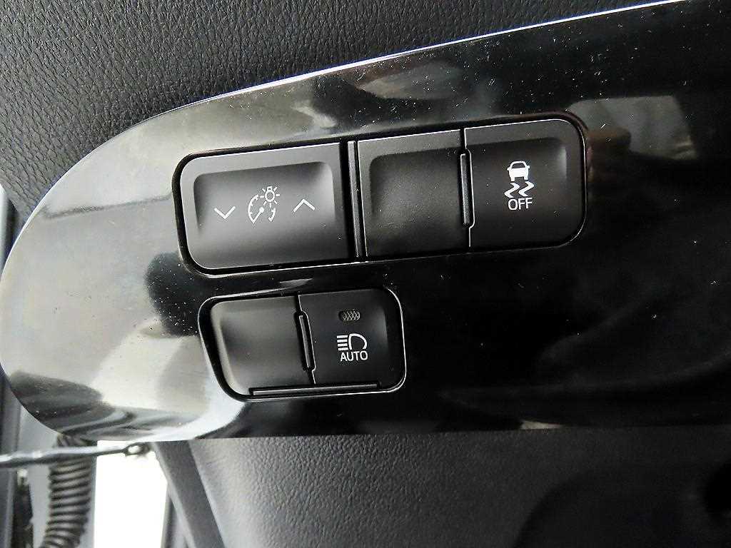 Toyota Prius - Vista 12