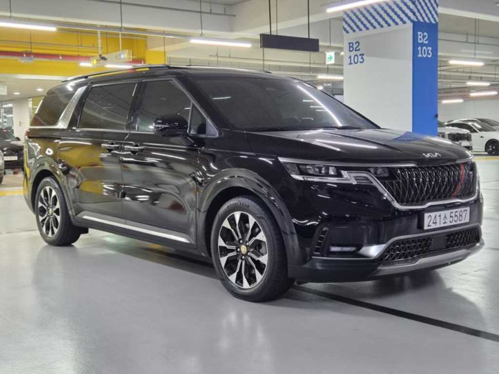 KIA Carnival - Vista 3