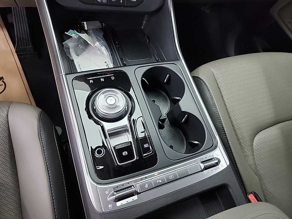 KIA Carnival - Vista 8