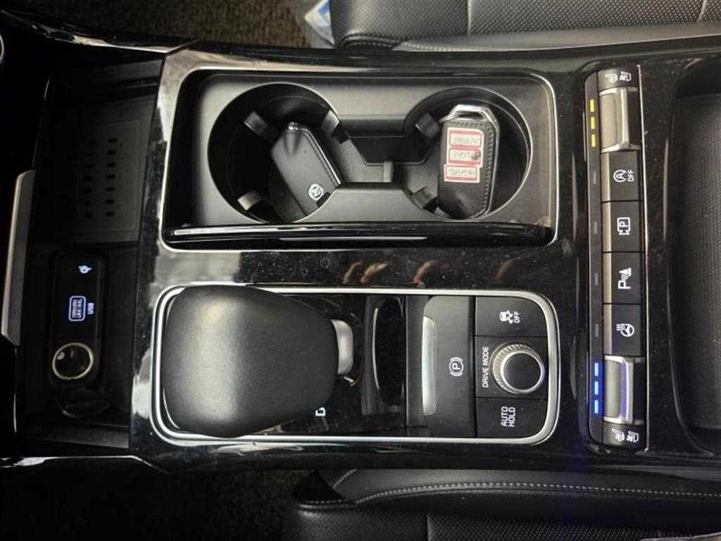 KIA Stinger - Vista 11