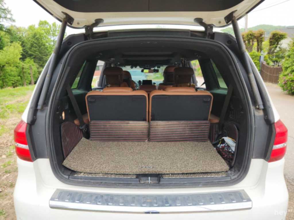 Mercedes Benz GLS Class - Vista 5