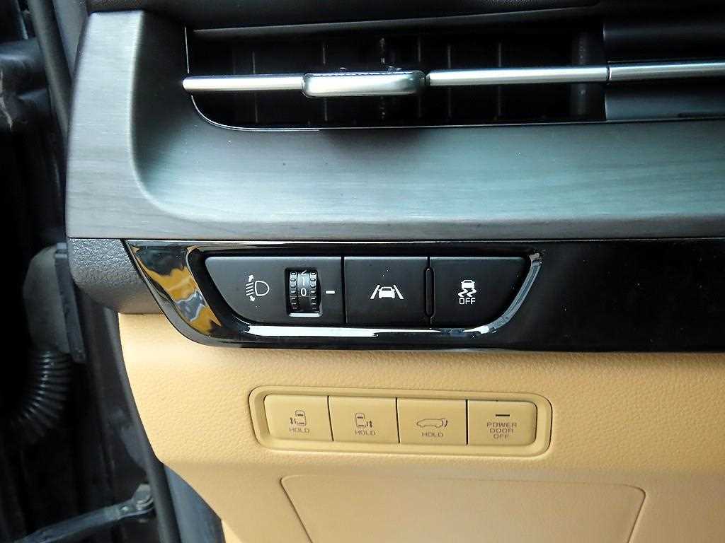 KIA Carnival - Vista 12