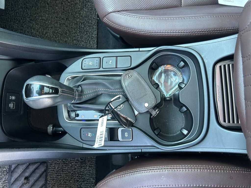 HYUNDAI Maxcruz - Vista 10