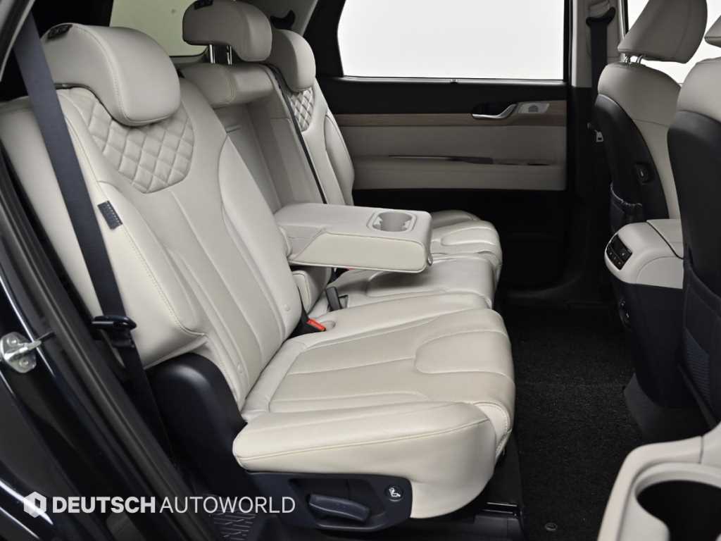 HYUNDAI Palisade - Vista 12