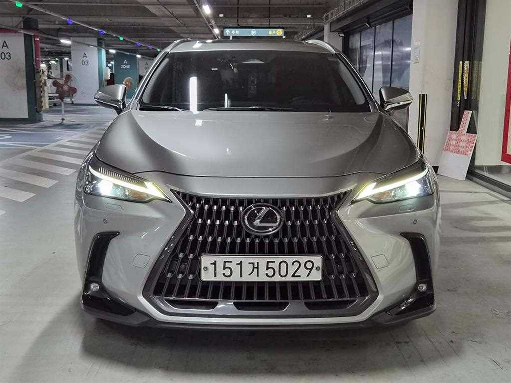 Lexus NX - Vista 2