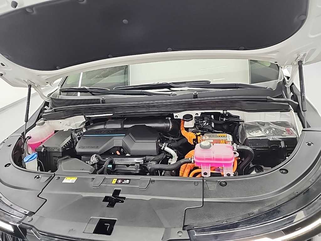 KIA Carnival - Vista 5
