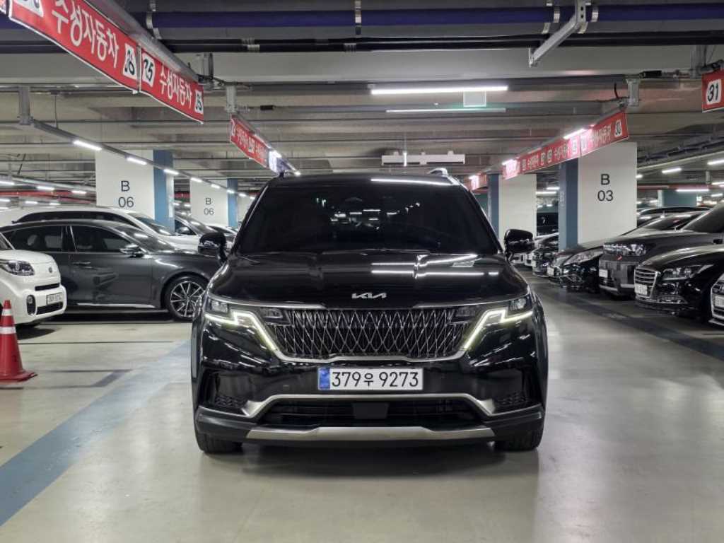KIA Carnival - Vista 3
