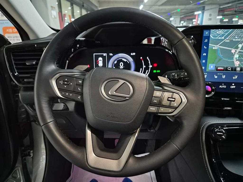 Lexus NX - Vista 8