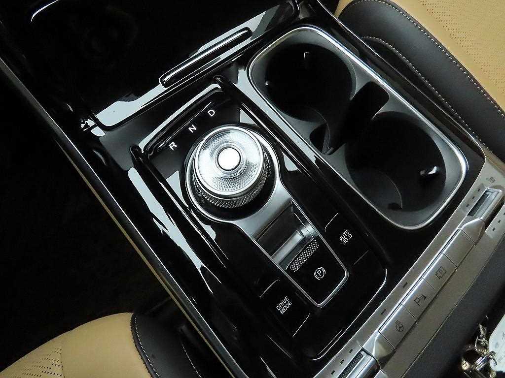 KIA Carnival - Vista 10
