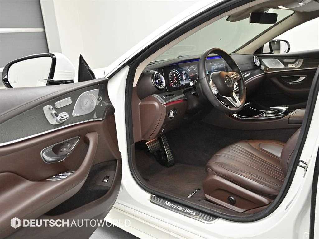 Mercedes Benz CLS Class - Vista 11