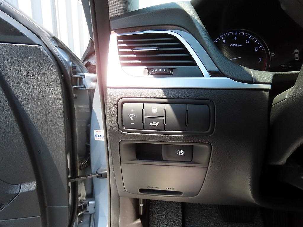 HYUNDAI Genesis - Vista 12