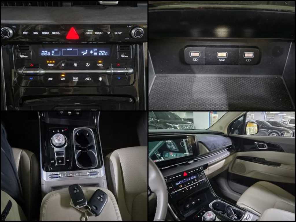 KIA Carnival - Vista 12