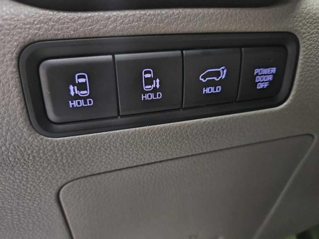 KIA Carnival - Vista 12