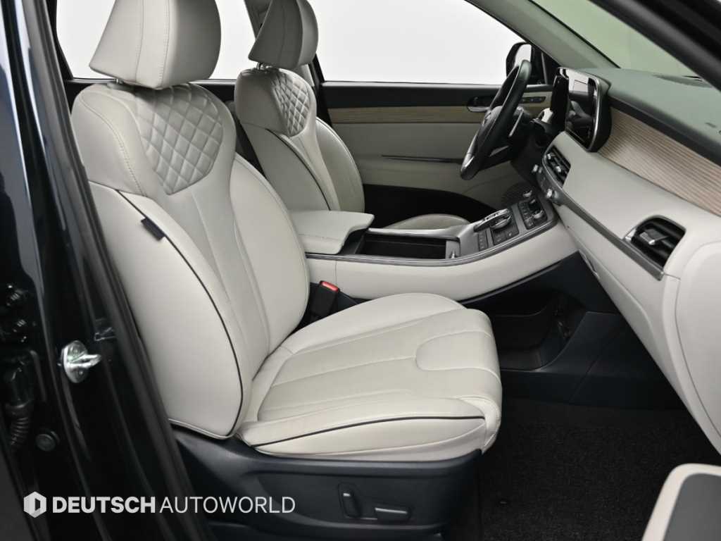 HYUNDAI Palisade - Vista 9
