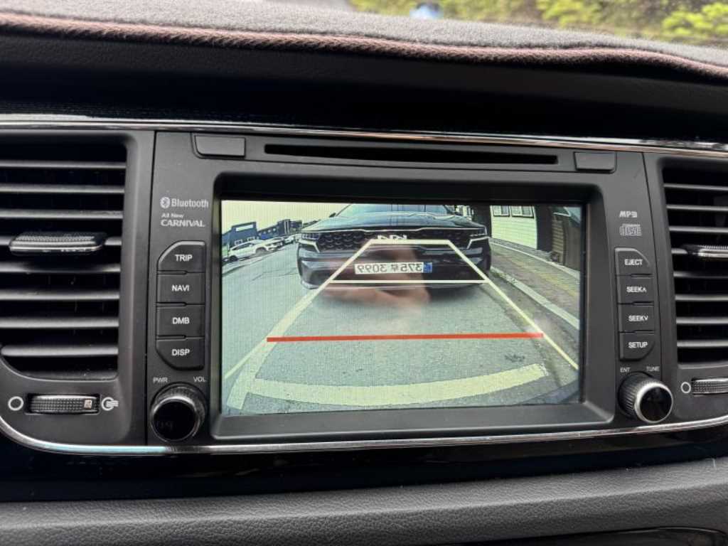 KIA Carnival - Vista 9