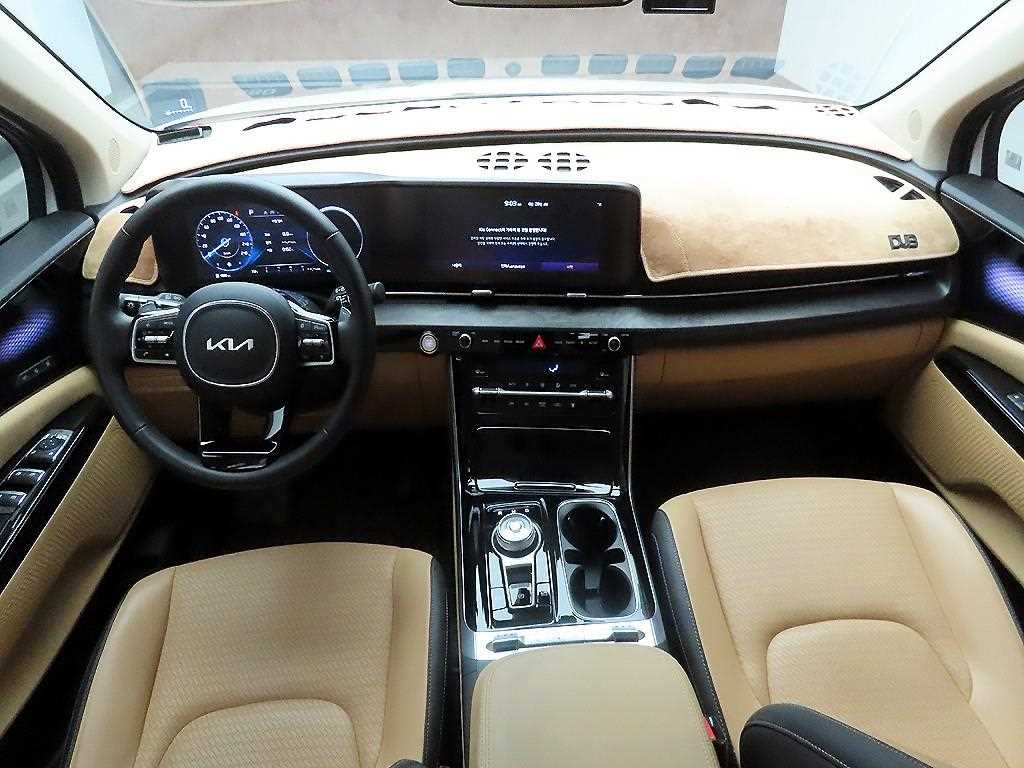 KIA Carnival - Vista 8
