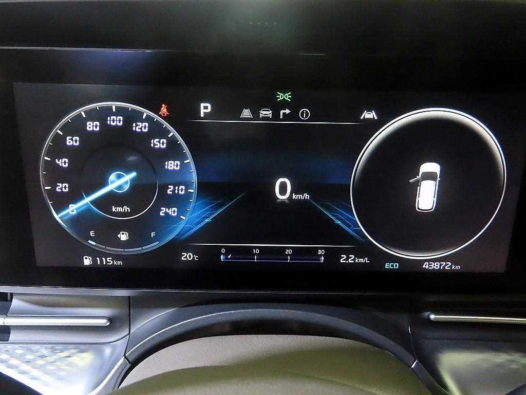 KIA Carnival - Vista 9