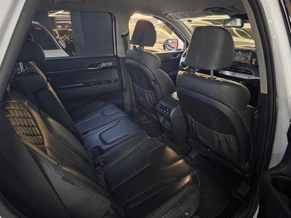 HYUNDAI Palisade - Vista 12