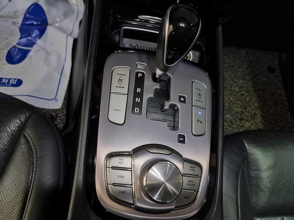 HYUNDAI Genesis - Vista 8