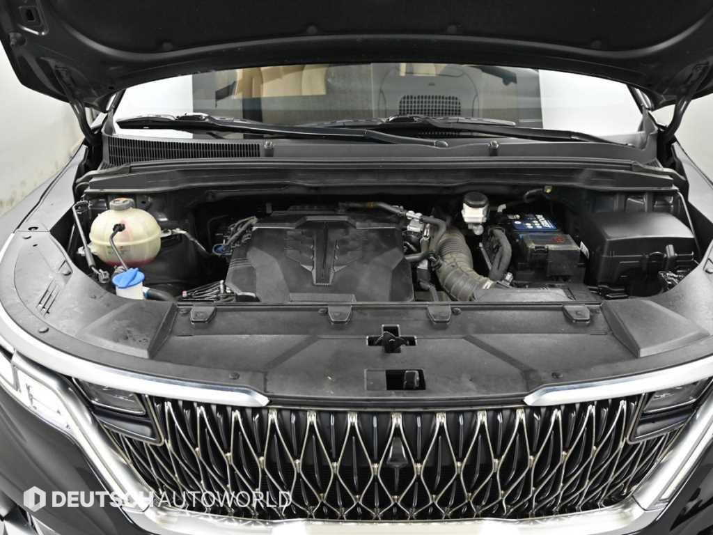 KIA Carnival - Vista 6