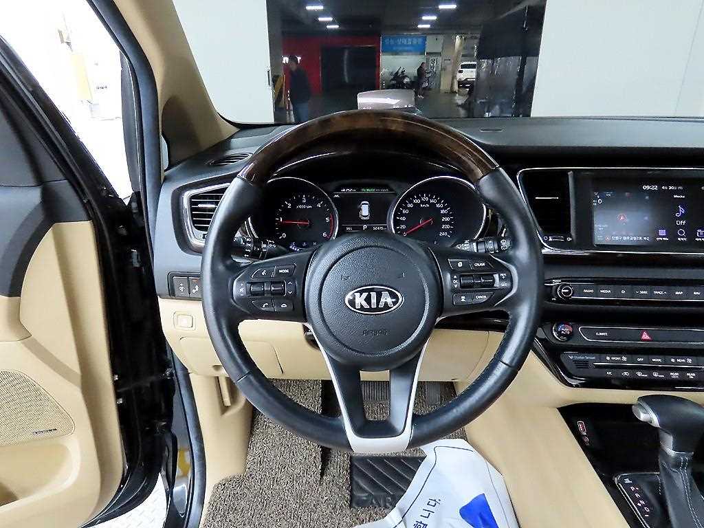 KIA Carnival - Vista 9