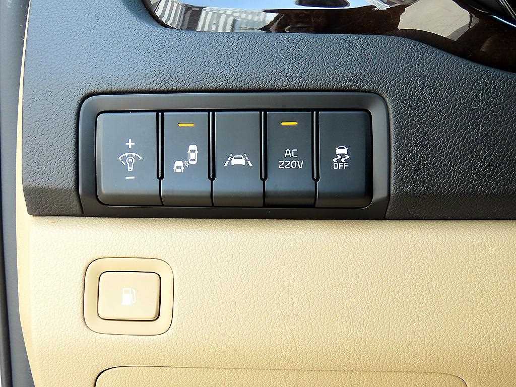 KIA Carnival - Vista 12