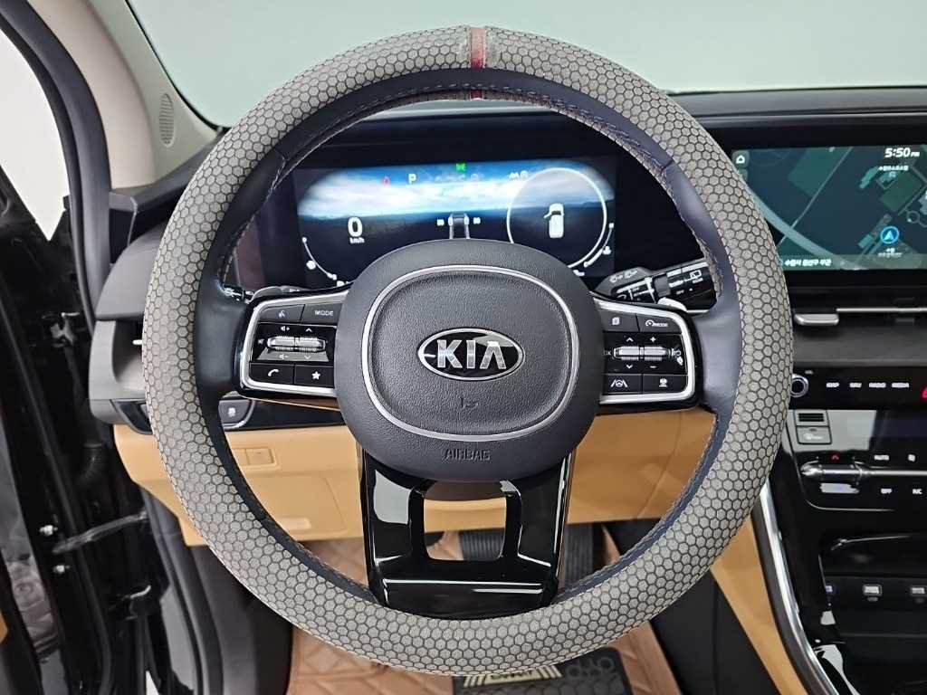 KIA Carnival - Vista 9