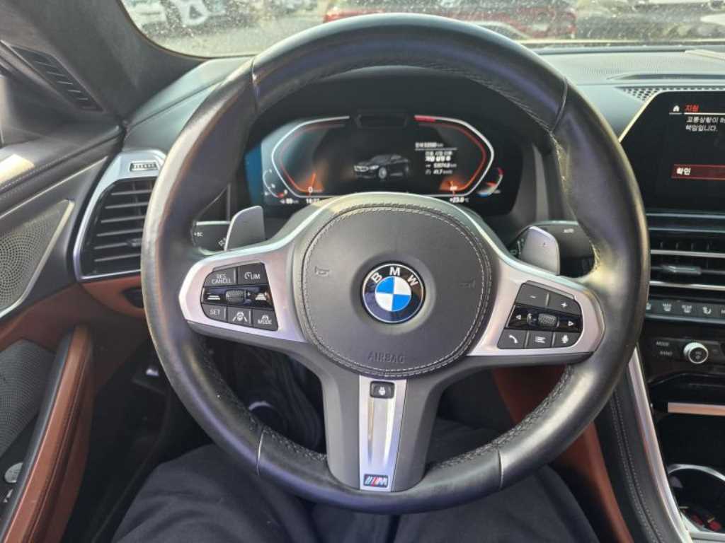 BMW 8 Series - Vista 5