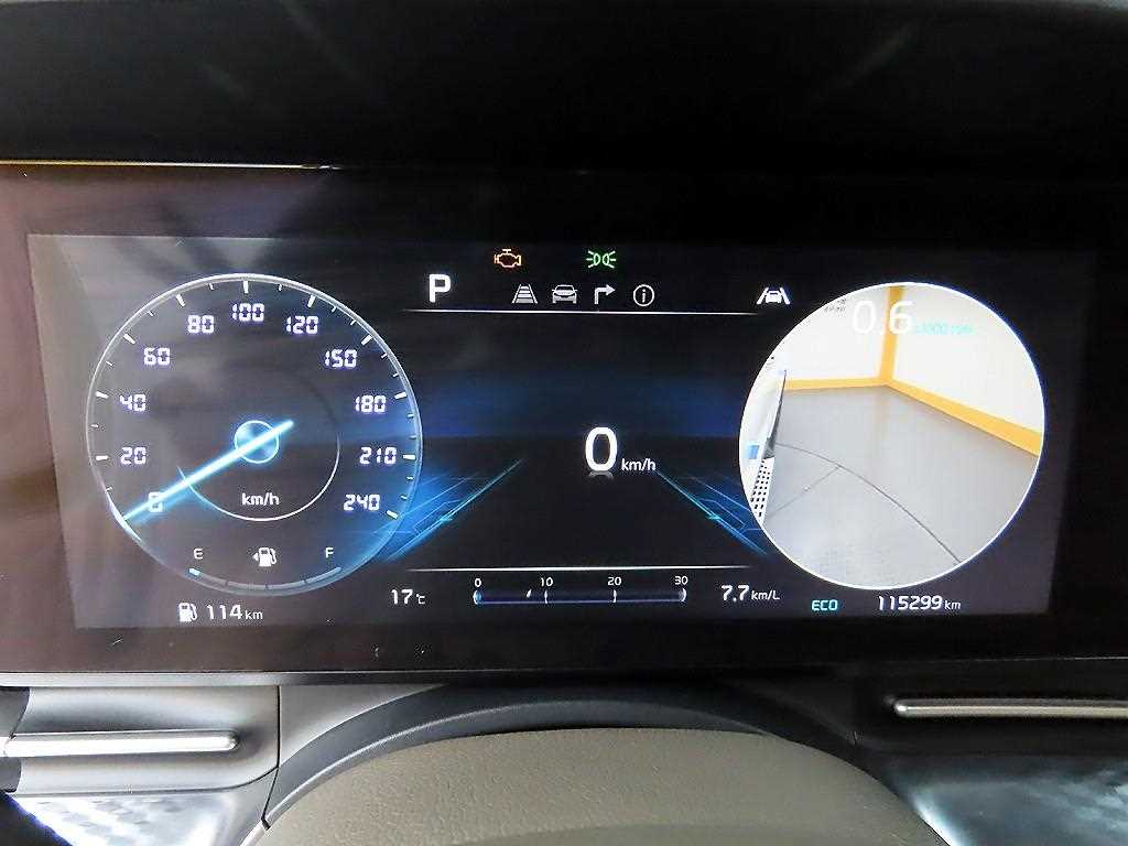 KIA Carnival - Vista 8