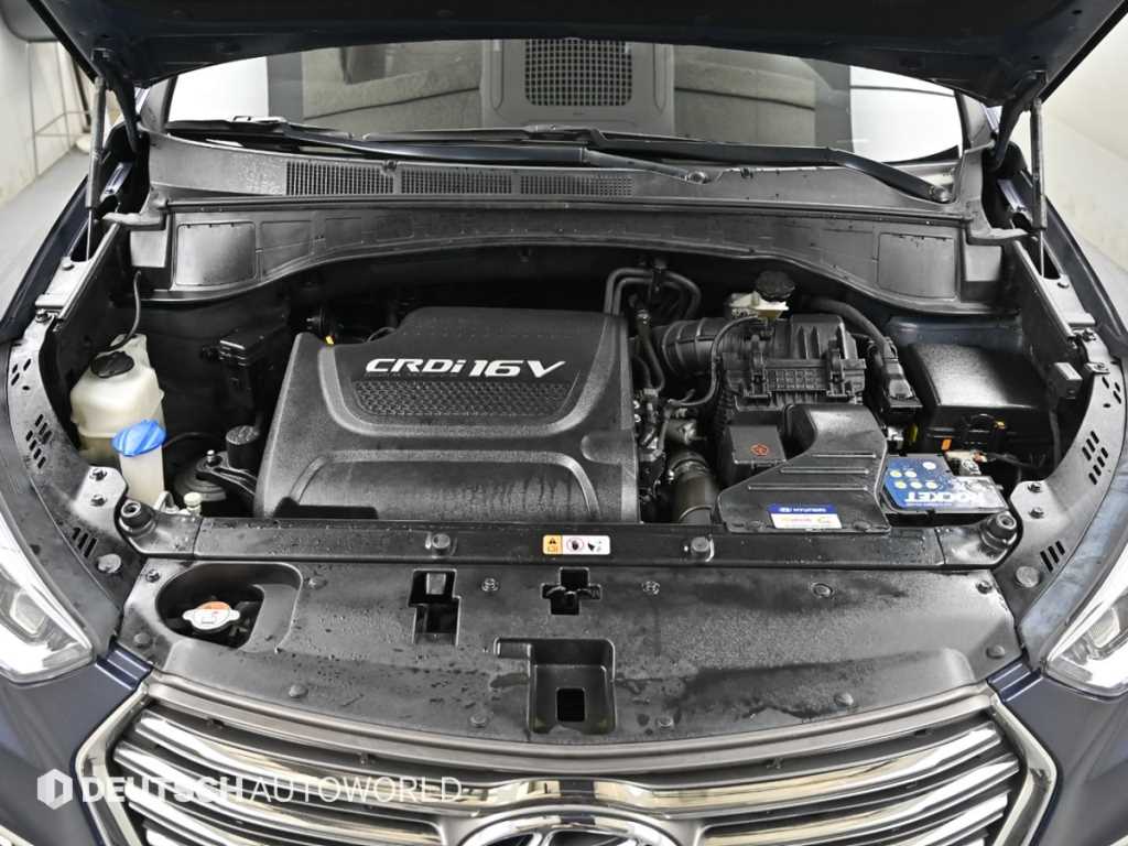 HYUNDAI Maxcruz - Vista 6