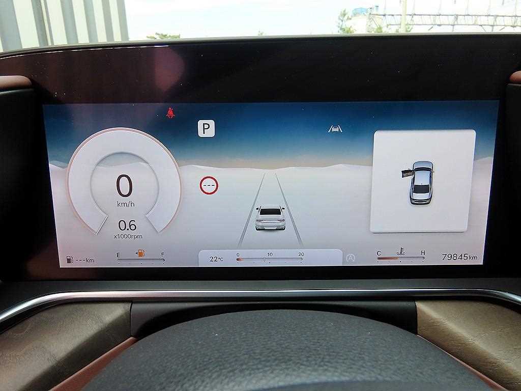 Genesis G90 - Vista 9