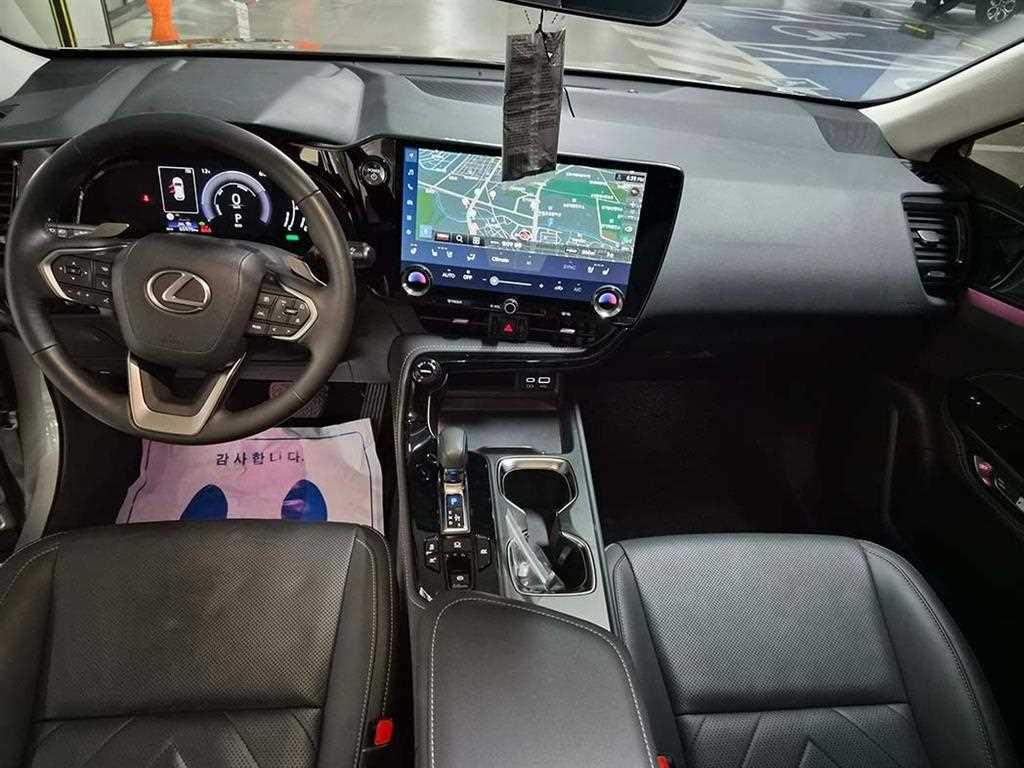 Lexus NX - Vista 10