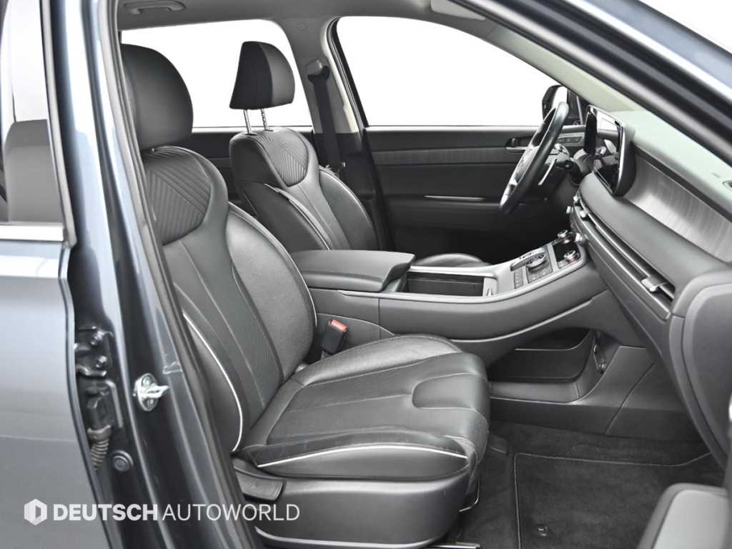 HYUNDAI Palisade - Vista 10