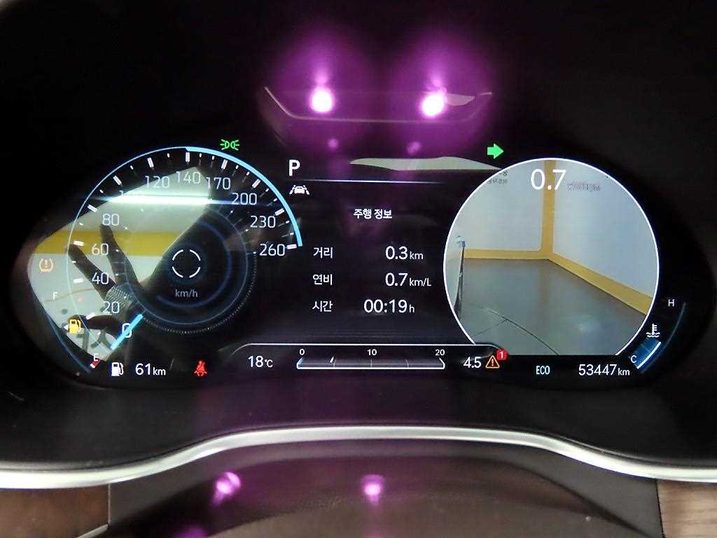 Genesis G80 - Vista 8