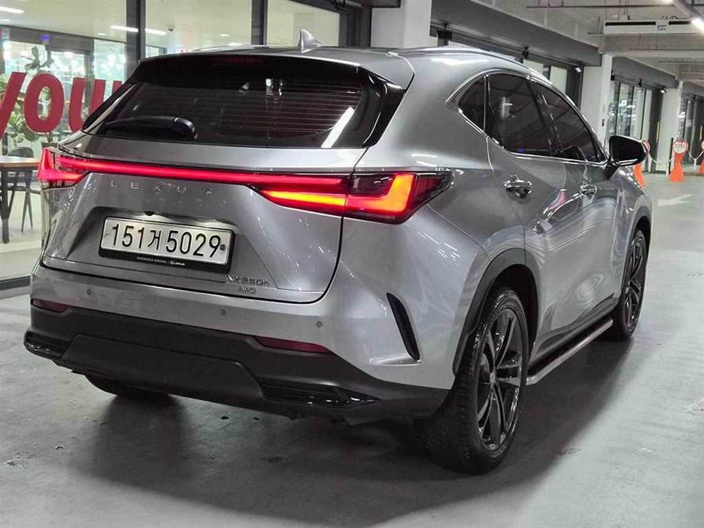 Lexus NX - Vista 4