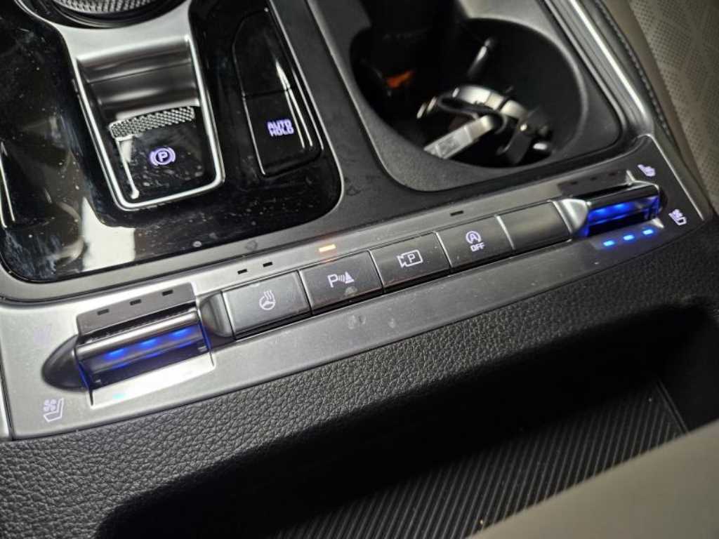 KIA Carnival - Vista 8