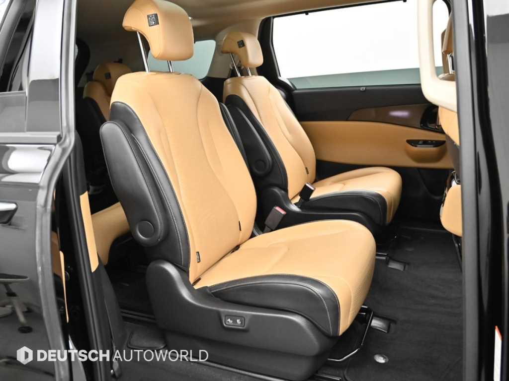 KIA Carnival - Vista 12