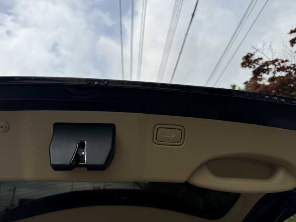 KIA Carnival - Vista 12