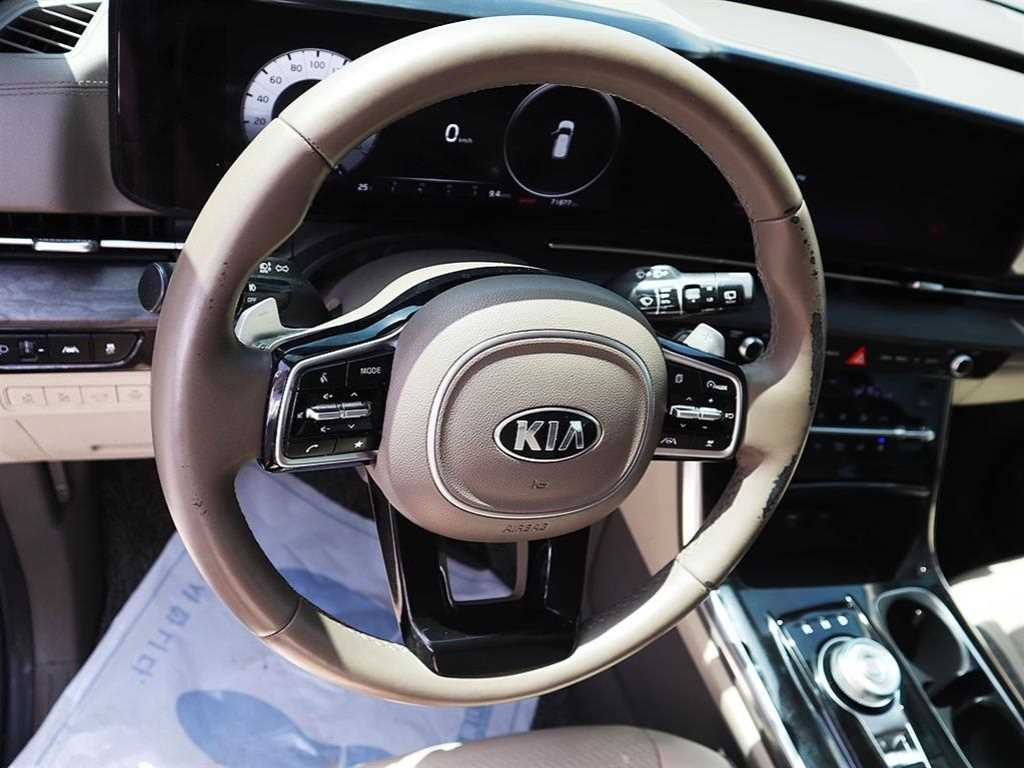 KIA Carnival - Vista 8