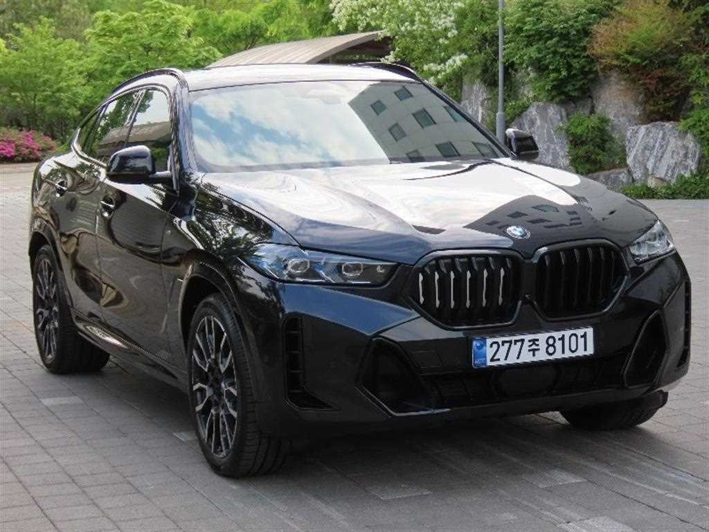 BMW X6 - Vista 2