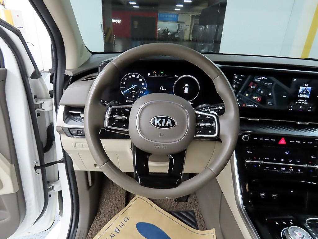 KIA Carnival - Vista 9