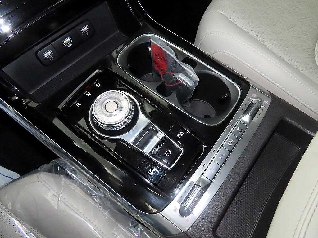 KIA Carnival - Vista 12