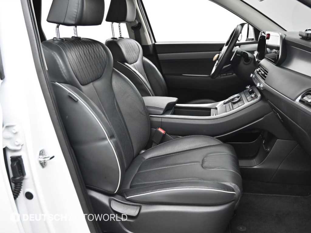 HYUNDAI Palisade - Vista 10