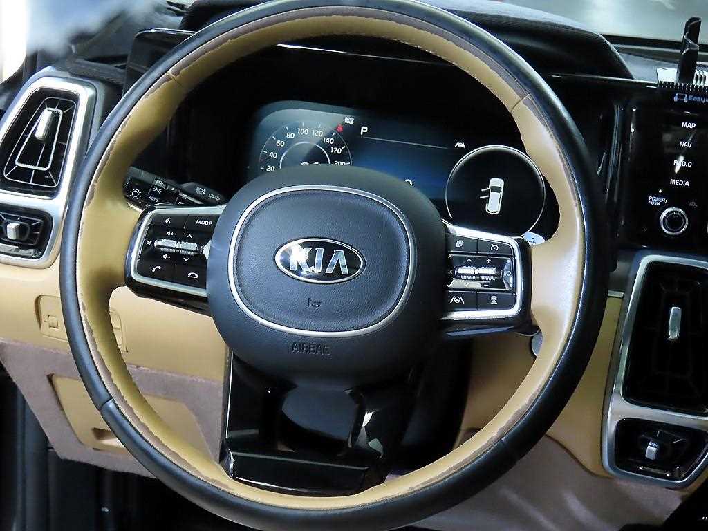 KIA Sorento - Vista 8