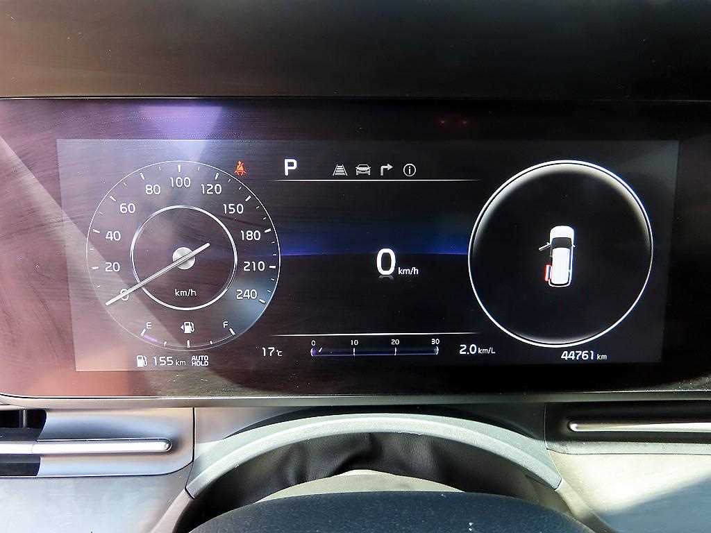 KIA Carnival - Vista 10