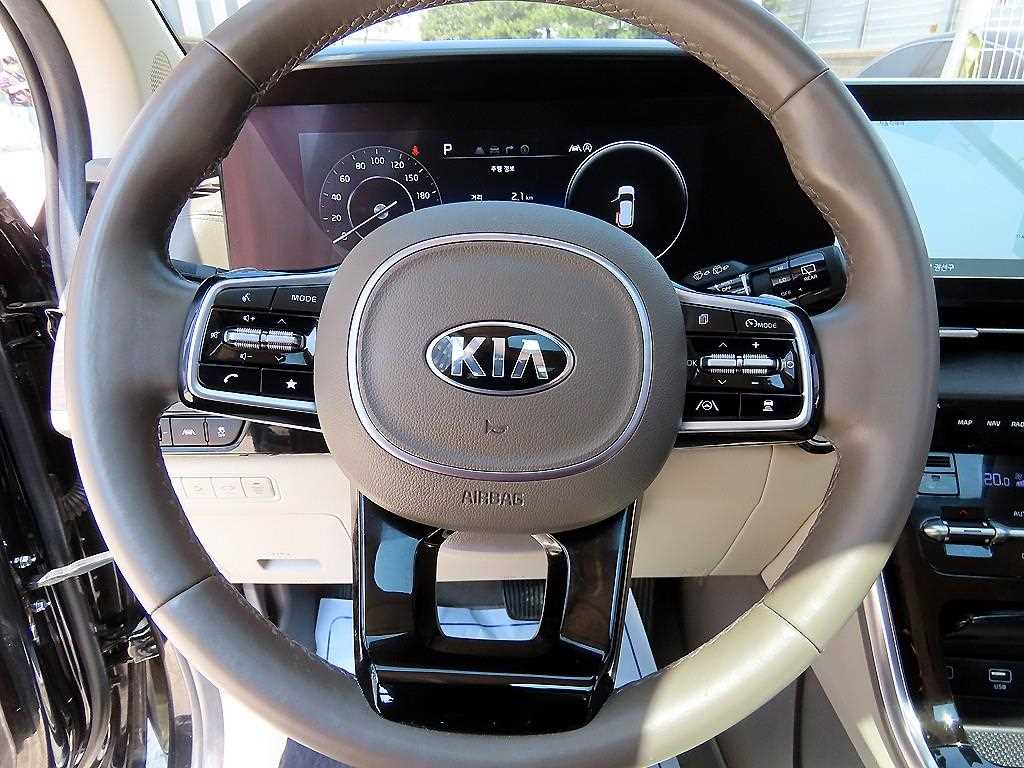KIA Carnival - Vista 8