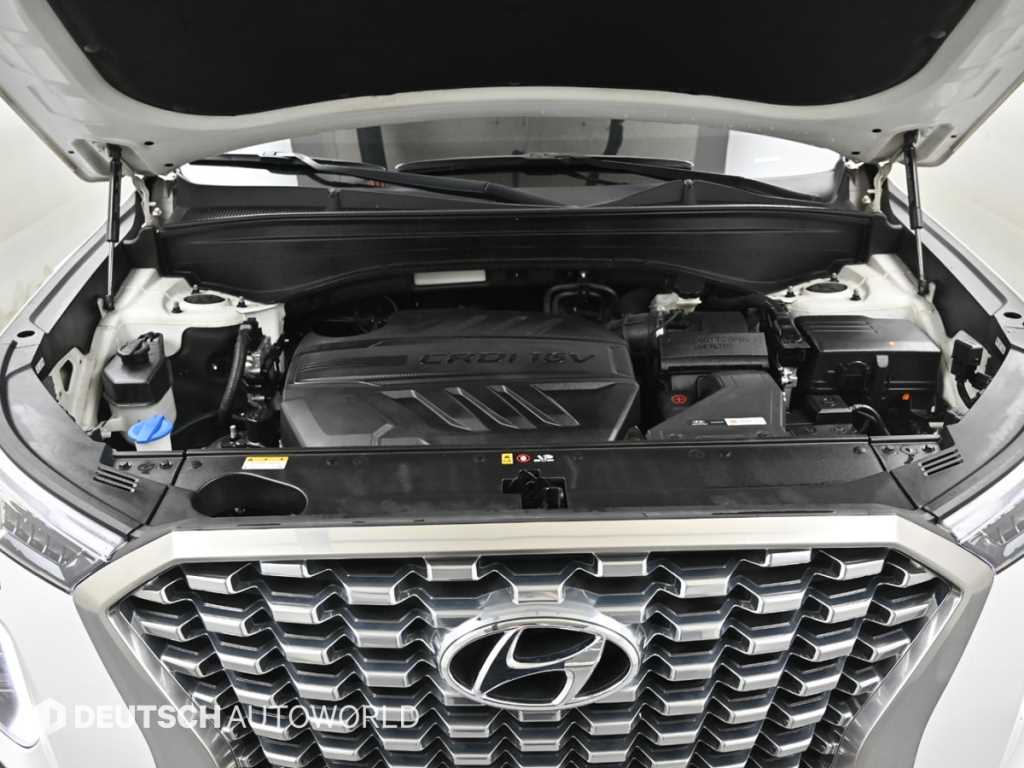 HYUNDAI Palisade - Vista 6