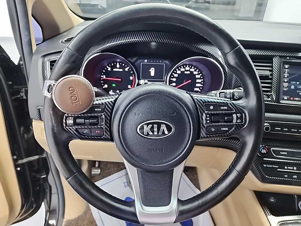 KIA Carnival - Vista 10