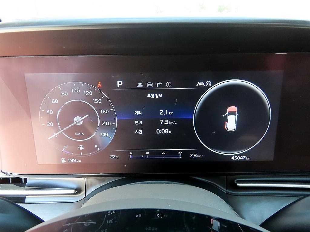 KIA Carnival - Vista 9